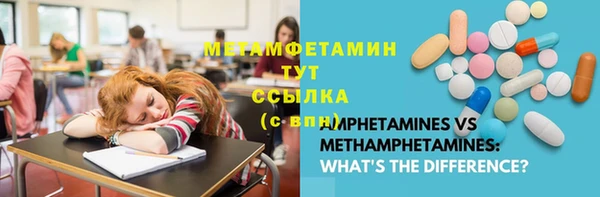 прущие грибы Сосновоборск