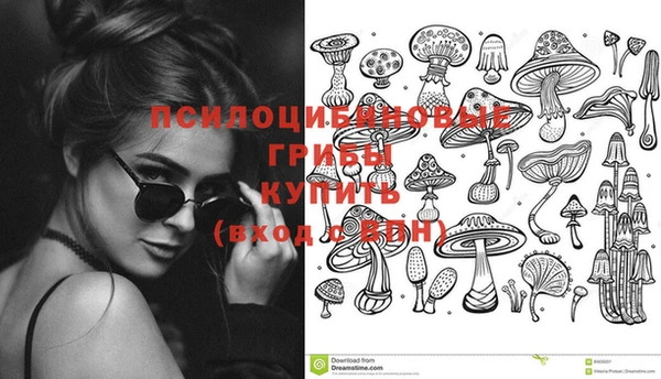 хмурый Балабаново