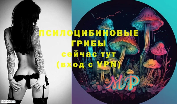 хмурый Балабаново